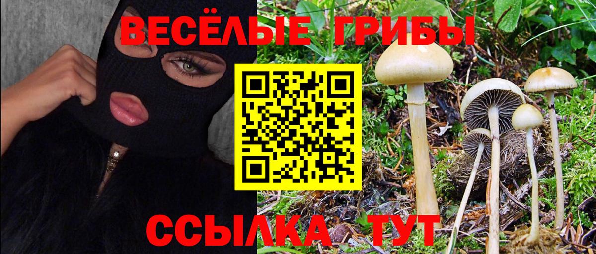Псилоцибиновые грибы Magic Shrooms Мурино