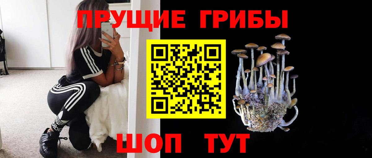 Мурино  Галлюциногенные грибы прущие грибы  купить закладку  Вход с VPN 
